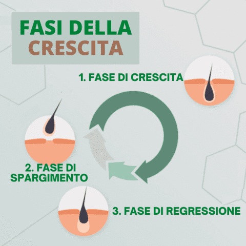 MS_Lander_GingerGrowthAnti-HairLossSpray_7.3_eef9dcd3-4ce6-4d14-ad8d-5b0823703901_-p4xvral8nlnz0nhoox910mlogc08cb8s3w1vaco3b4